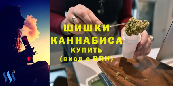 гашик Вязьма
