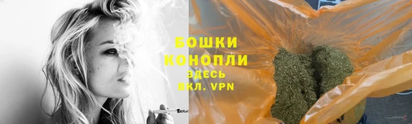 гашик Вязьма