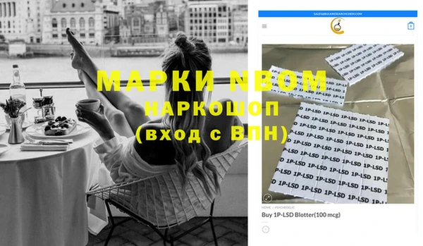 мдпв Горнозаводск