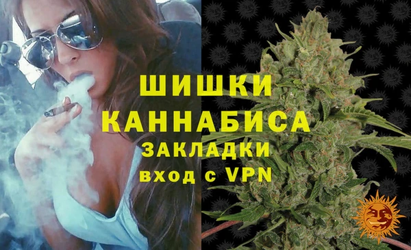 мдпв Горнозаводск