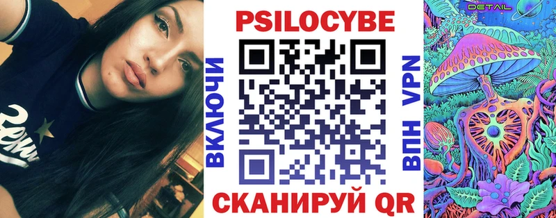 как найти закладки  Приволжск  Галлюциногенные грибы Psilocybine cubensis 